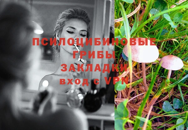 прущая мука Елизово